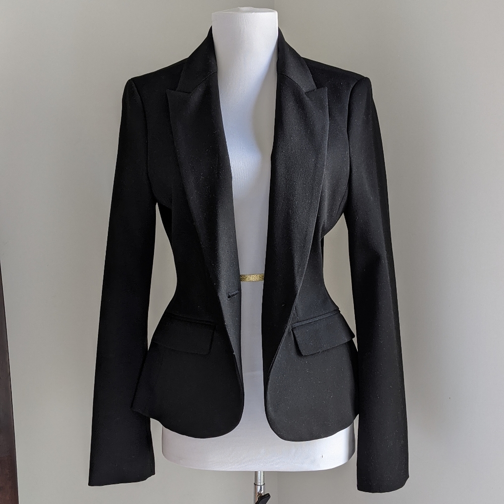 Express Fitted Blazer